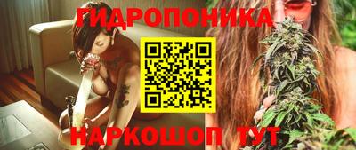 индика Усть-Илимск