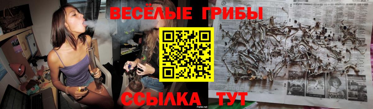 Псилоцибиновые грибы ЛСД Норильск