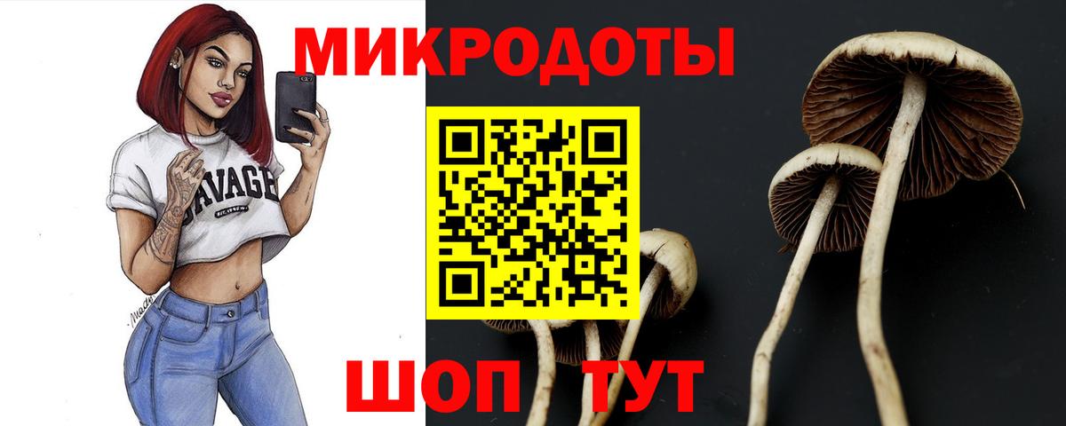Псилоцибиновые грибы мухоморы  Вход с VPN  Псилоцибиновые грибы ЛСД  Норильск 
